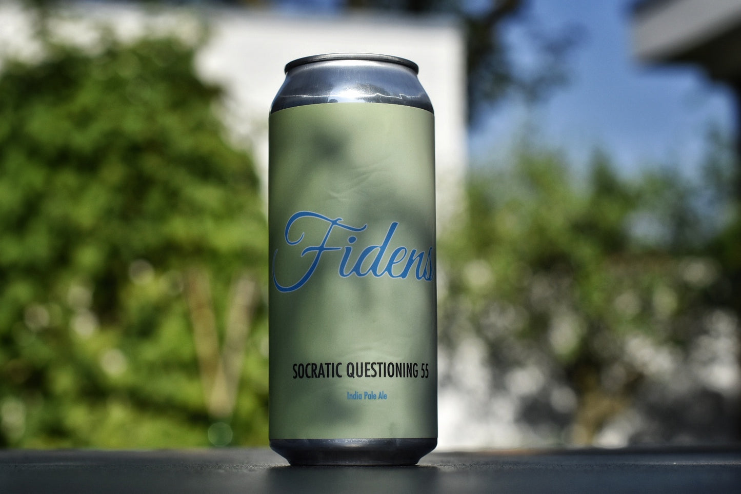 Fidens - Socratic Questioning 55