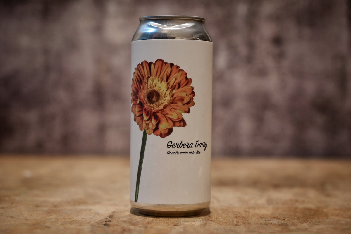 Fidens - Gerbera Daisy