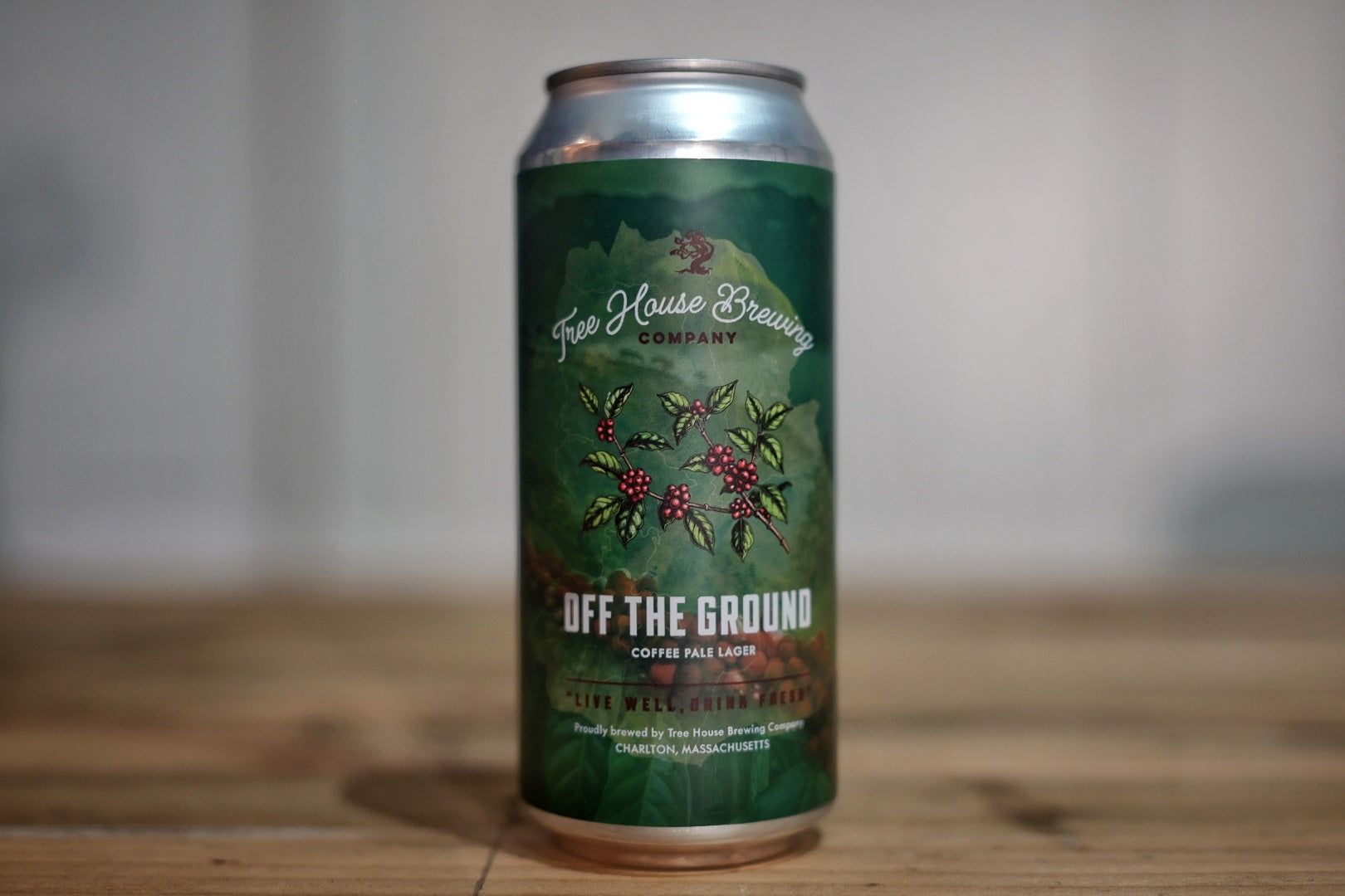 Tree House - Off the Ground