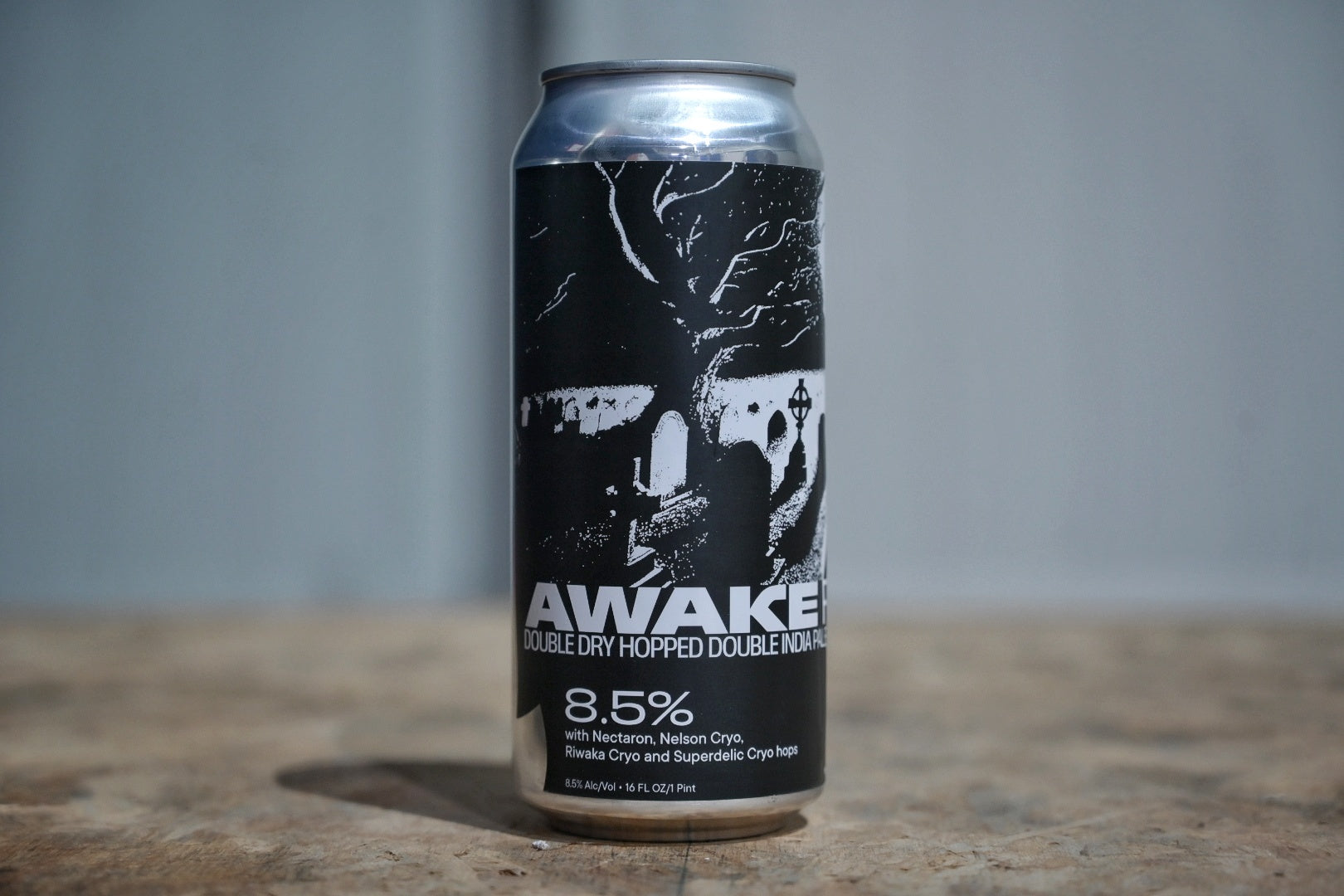 Fidens - Awake From Death