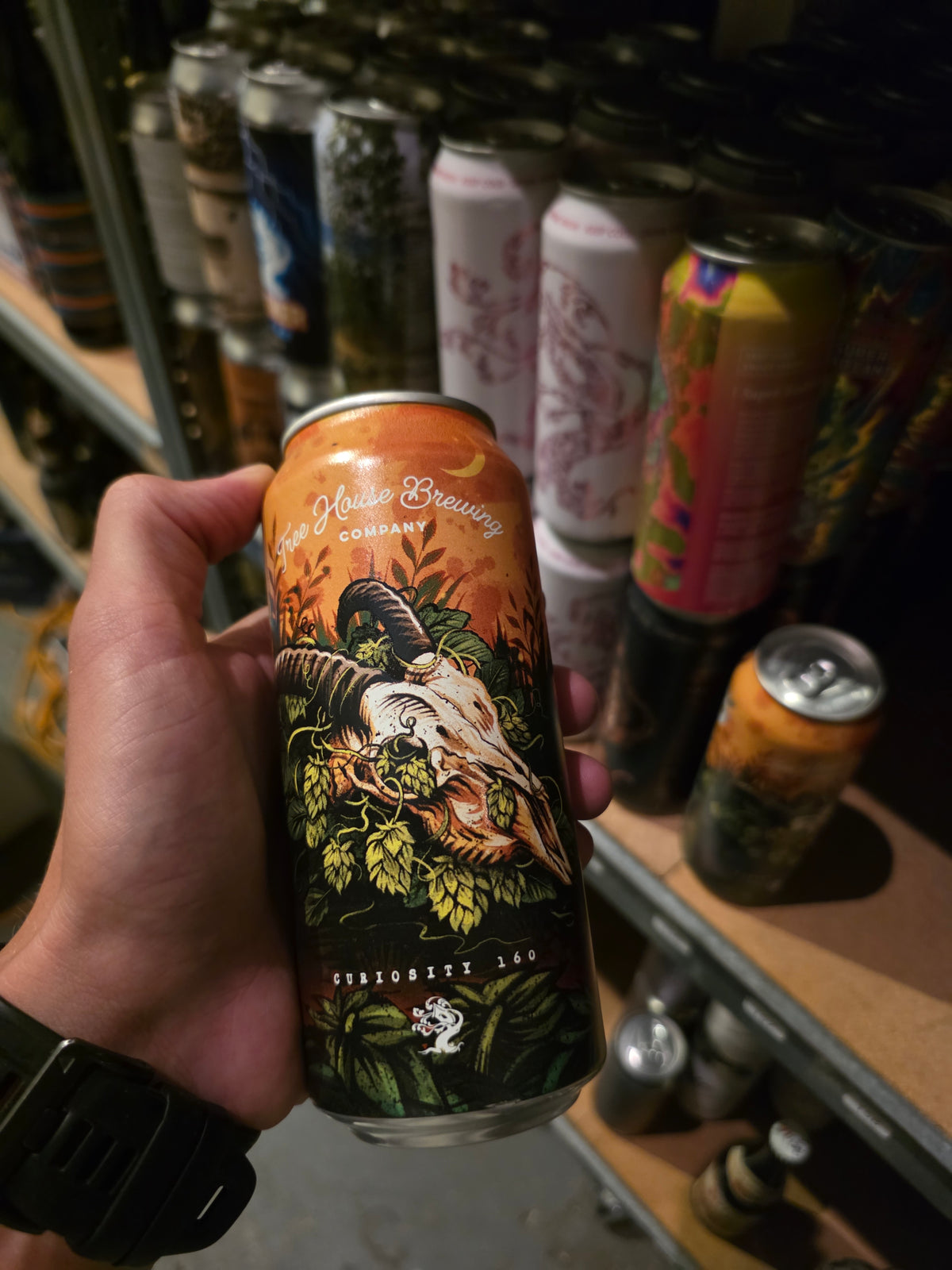 Tree House - Curiosity 160
